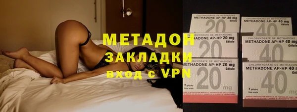 прущие грибы Волоколамск