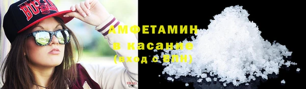 прущие грибы Волоколамск