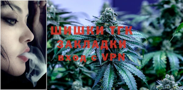 прущие грибы Волоколамск