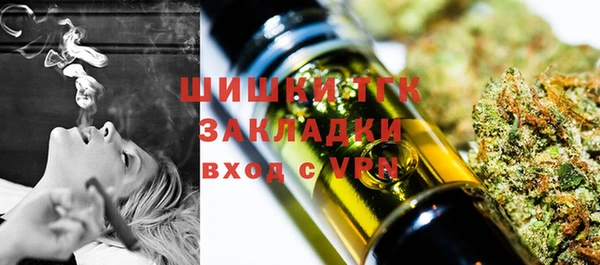стаф Володарск