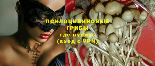 прущие грибы Волоколамск