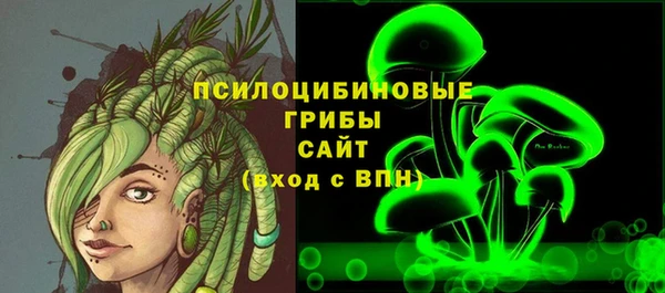 прущие грибы Волоколамск