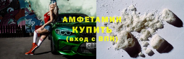 прущие грибы Волоколамск