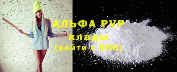 стаф Володарск
