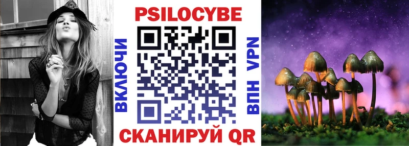 купить закладку  Калтан  Галлюциногенные грибы Cubensis 