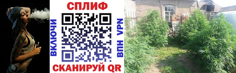 Марихуана конопля OMG рабочий сайт Калтан